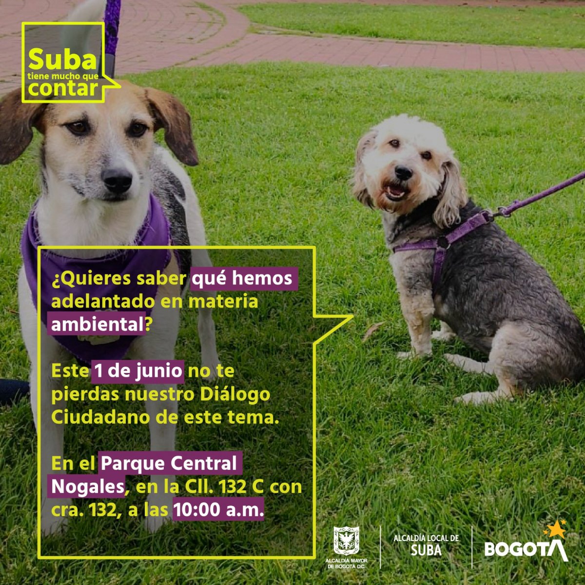 dialogo_ciudadano_3.jpeg