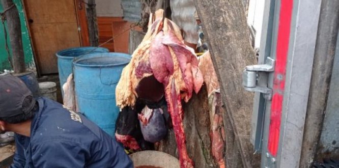 Matadero clandestino desmantelado en Fontanar del Río II, en Suba
