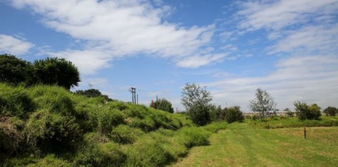 Predios recuperados en Lagos de Torca