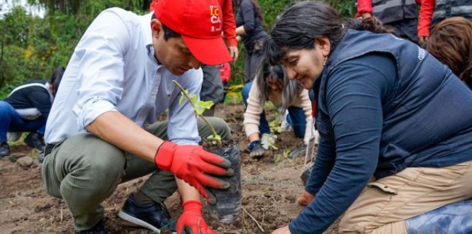 Comenzó restauración ecológica del Corredor de Polinizadores en el humedal Córdoba