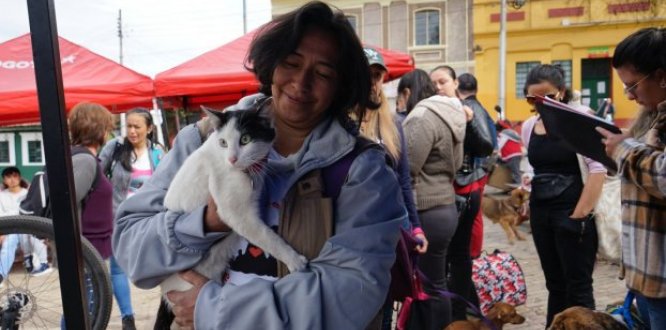 jornada de esterilización 