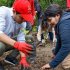 Comenzó restauración ecológica del Corredor de Polinizadores en el humedal Córdoba