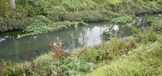 Quebrada La Salitrosa en Suba
