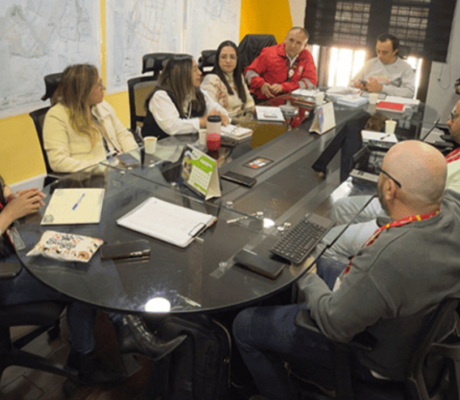 Consejo Local de Seguridad